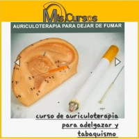 Curso Online de Auriculoterapia para Adelgazar y Tabaquismo Curso Online de Auriculoterapia para Adelgazar y Tabaquismo